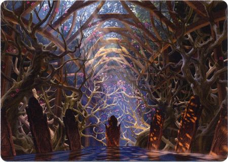 Art Series (73/81) – Skemfar Elderhall